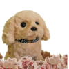 Perrito interactivo - Imagen 4